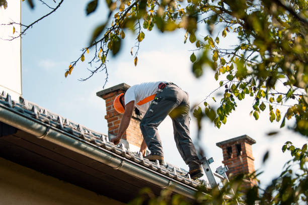 Best Metal Roofing Contractor  in Lake Lorelei, OH